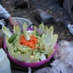 DSCN7116.jpg