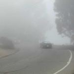 This was our fourth Outdoor Food Party of the year. We had wind at Golden Gate Park, sand & sunshine at Montara State Beach,