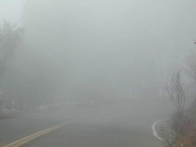 It just seemed to get foggier and foggier as we got closer.. this reminded us of our coastside Pescadero camping trip!