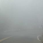 It just seemed to get foggier and foggier as we got closer.. this reminded us of our coastside Pescadero camping trip!