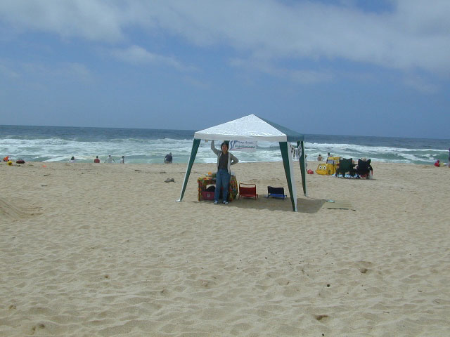 With our green canopy, we staked out some good sand for our vegan party.  