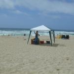 With our green canopy, we staked out some good sand for our vegan party.  