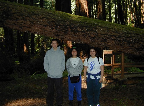 Vegan explorers... looking for the perfect campground!