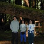 Vegan explorers... looking for the perfect campground!