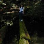 dscn4209