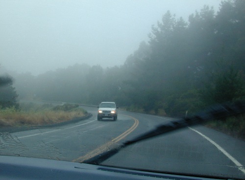 When that day arrived, however, it was a typical summer day on the coast:  foggy.  Some of us traveled, caravan style, from a me