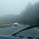 When that day arrived, however, it was a typical summer day on the coast:  foggy.  Some of us traveled, caravan style, from a me