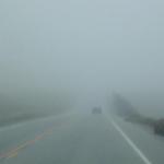 As you can see, it looked like it was getting foggier and foggier as we approached Pescadero.