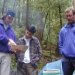 And right here is where the vegan marshmallows grow..