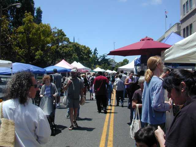 DSCN5050.jpg