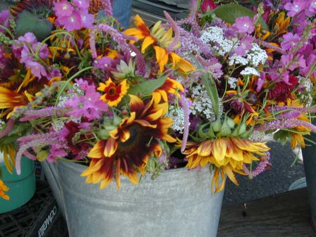 DSCN5052.jpg