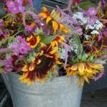 DSCN5052.jpg
