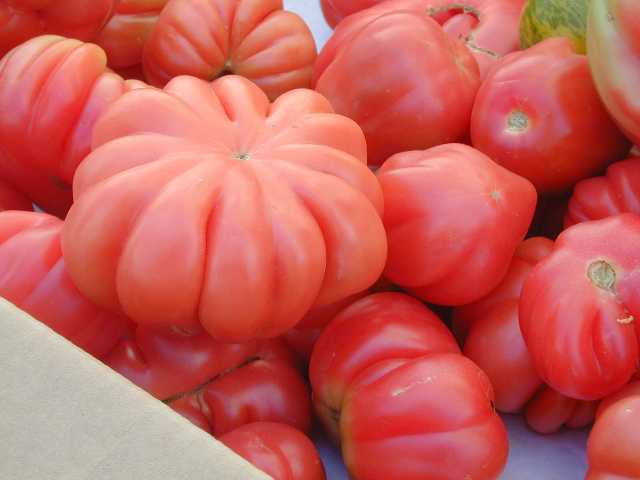 DSCN5055.jpg