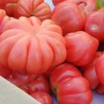 DSCN5055.jpg