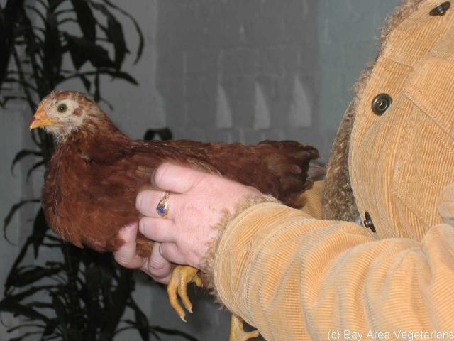 Shea, our special guest