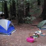 IMG_1475.jpg