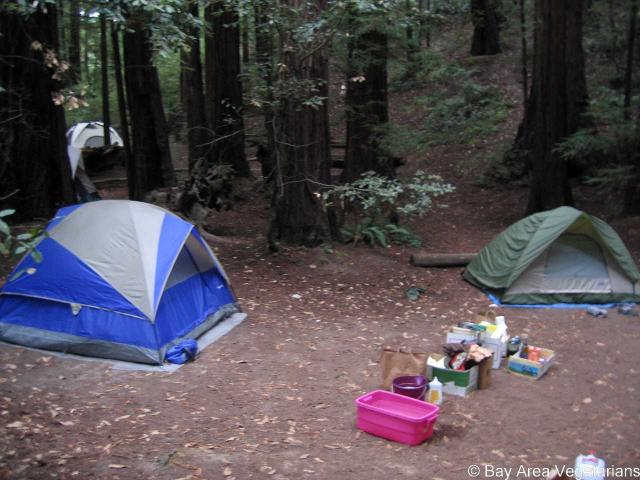 IMG_1475.jpg