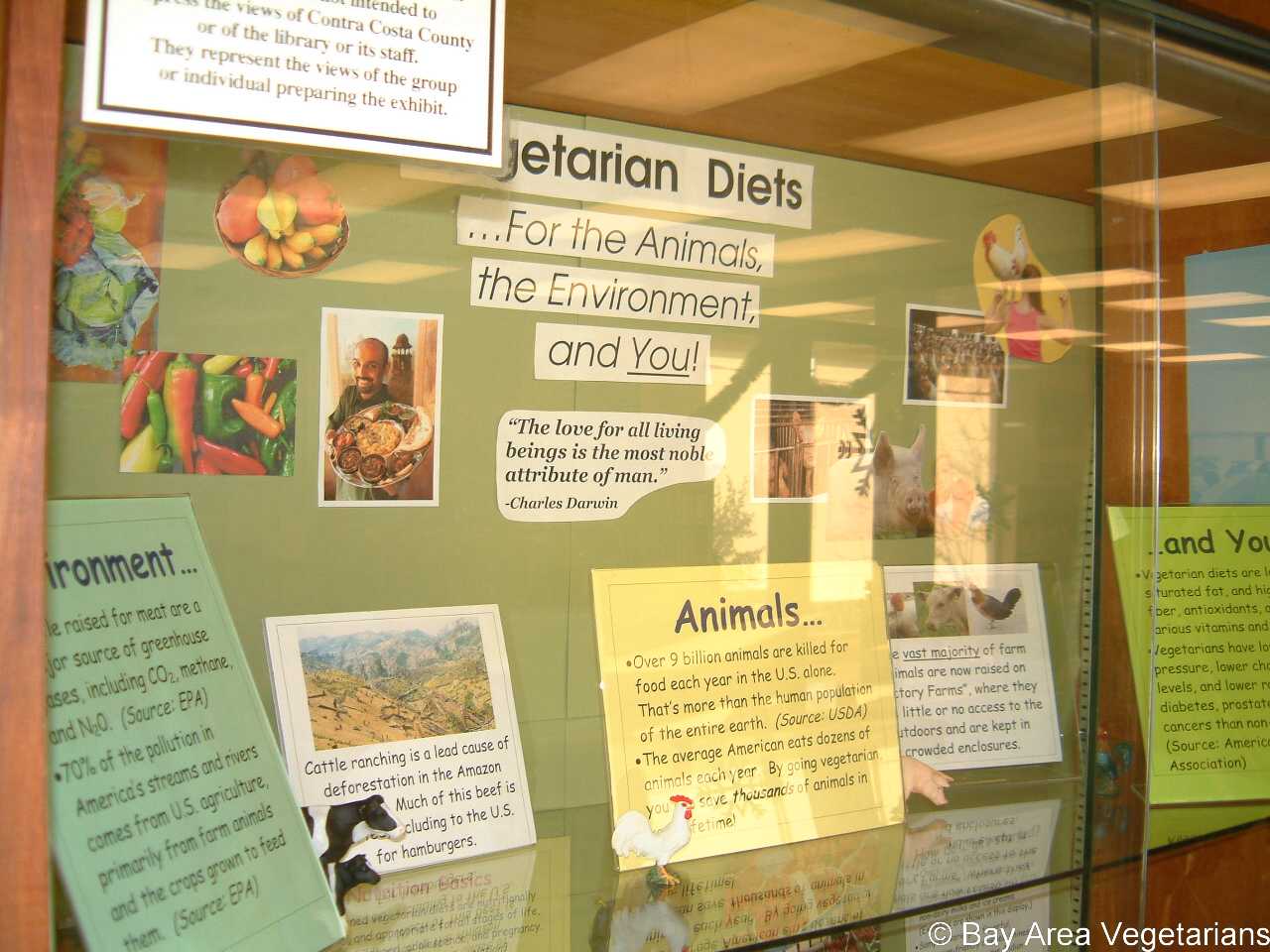 Display3.jpg