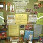 Display6.jpg