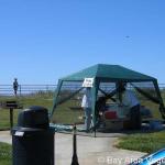 IMG_2658.jpg