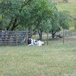 IMG_3026.jpg