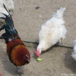 IMG_3063.jpg