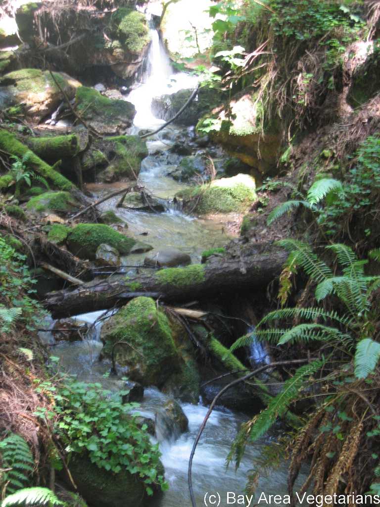 IMG_0802.jpg