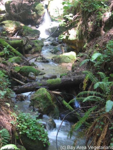 IMG_0802.jpg