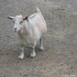 IMG_3112.jpg