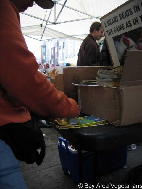 IMG_3205.jpg