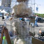 IMG_3254.jpg