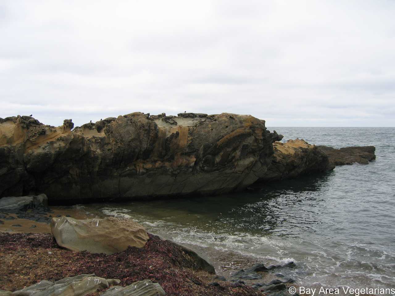 IMG_3598.jpg