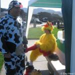 The costumed cow and chicken emerge