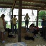 IMG_0024.jpg