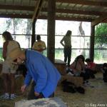 IMG_0025.jpg