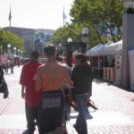 IMG_6439.jpg