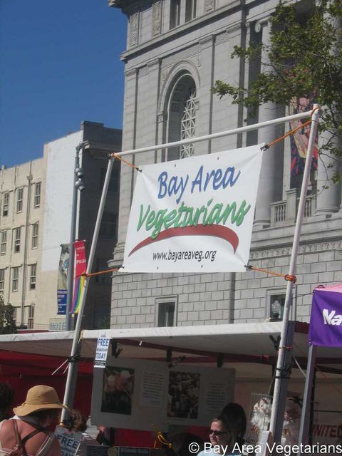 BAVeg at SF LGBT Pride 2007