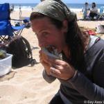 Sue and the Vegan Sandwich