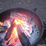 IMG_6896.jpg