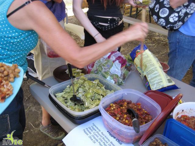 Vegan Food Party