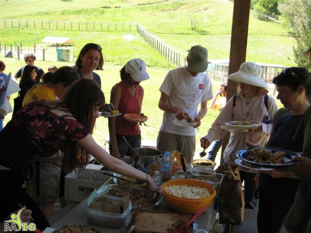 Vegan Food Party