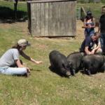Frank, Murray and Ernie