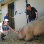 Marji, Chester, and Mike