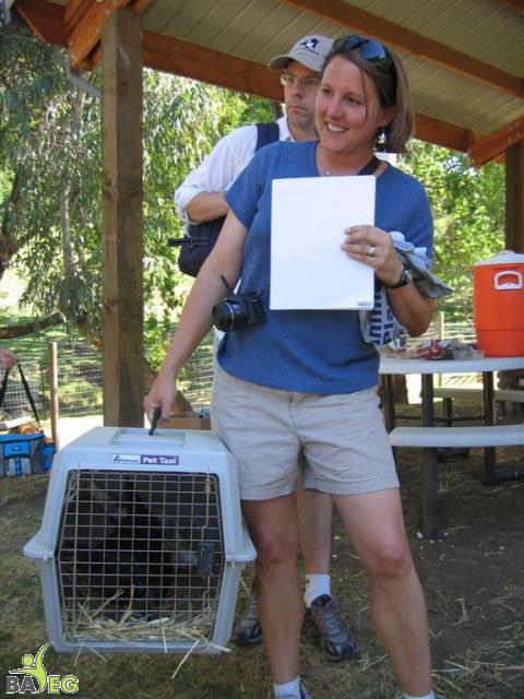 Alicia & Mark adopt two chickens