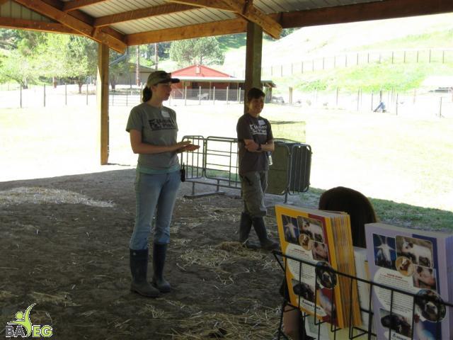 Animal Place Introduction by Marji & Nikki