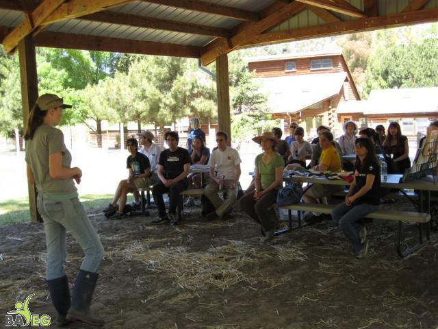 Animal Place Introduction by Marji & Nikki