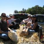 Hayride to Animal Place