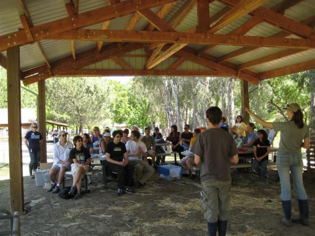 Animal Place Introduction by Marji & Nikki