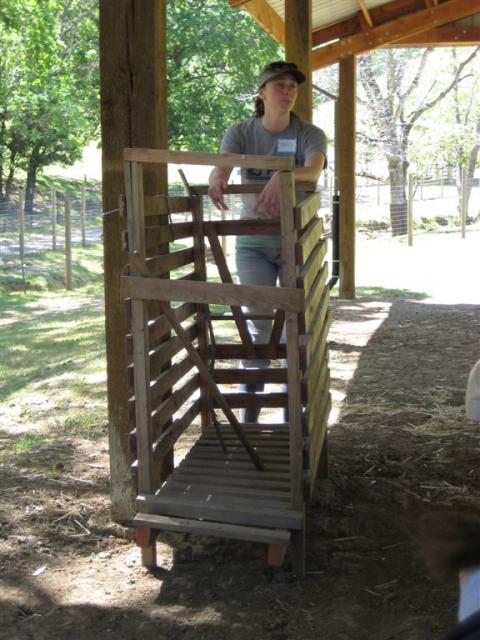 Marji shows a veal crate
