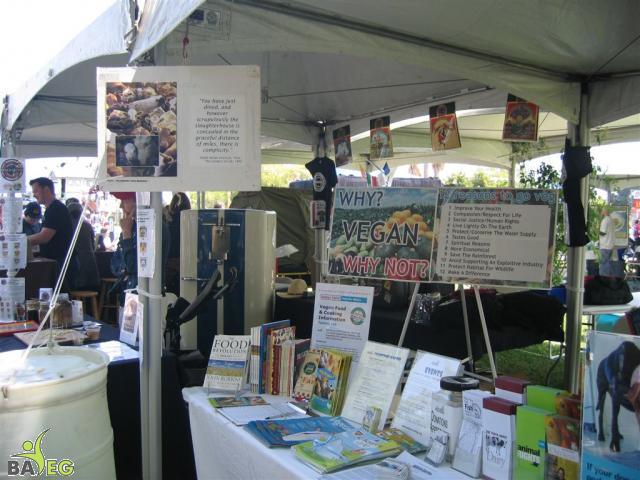 Why - Vegan - Why Not